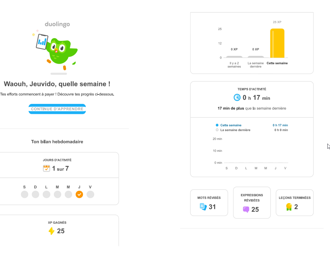 statistiques%20de%20progression%20duolingo